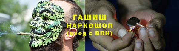 гашик Алексеевка