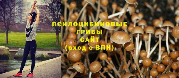 гашик Алексеевка