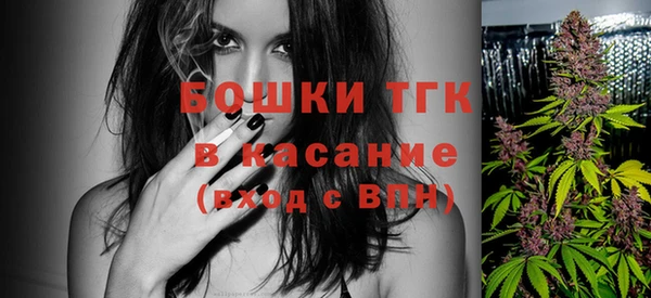гашик Алексеевка