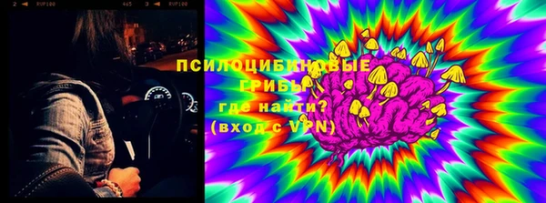 spice Алексин