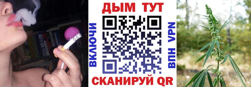 Купить  Северская  Канабис OG Kush 